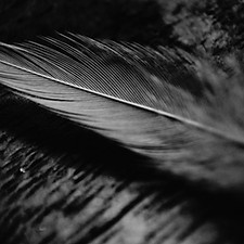 Image by Vignesh Kumar R B