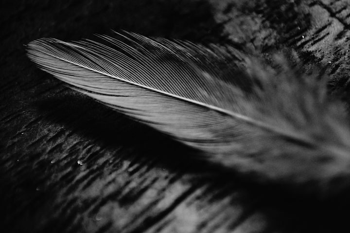 Image by Vignesh Kumar R B