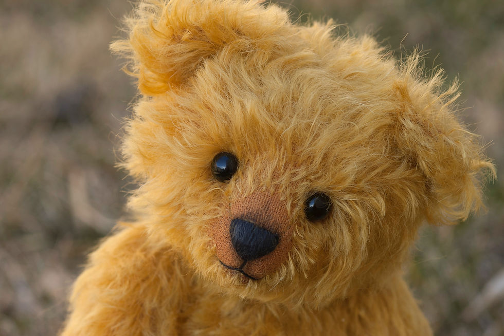 teddy bear testing