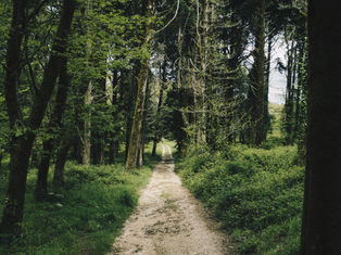Feedback from users suggests that ReDirection Self-Help Program successfully decreases CSAM use