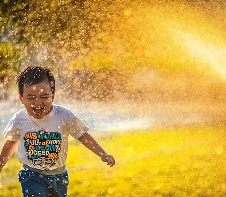 Image by MI PHAM