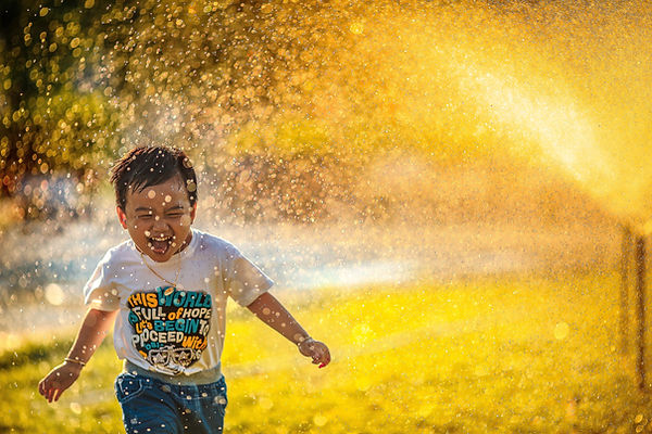 Image by MI PHAM