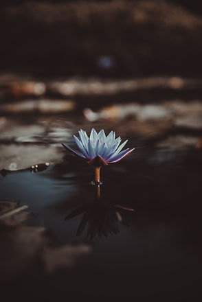 Image by Saffu
