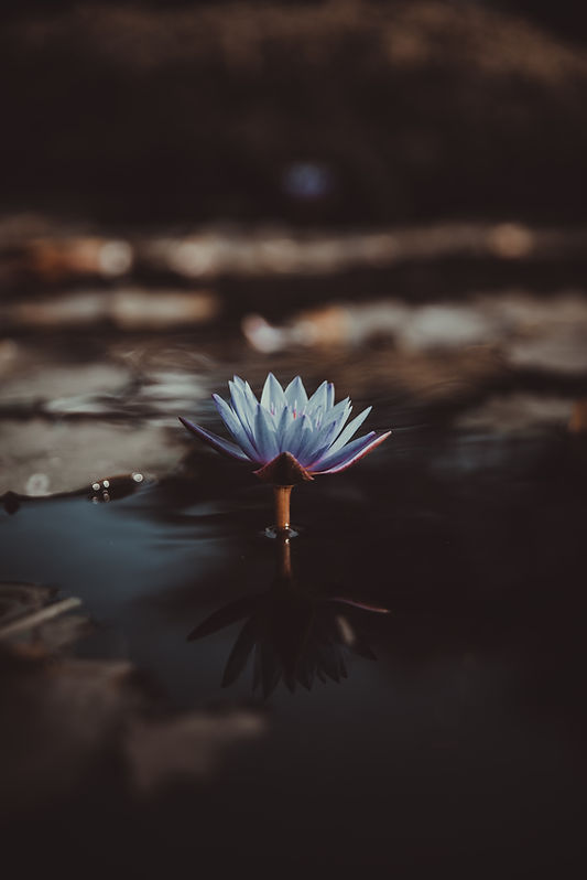 Image by Saffu