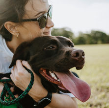 Why Your Dog’s Behavior Problems Might Be a Leadership Issue