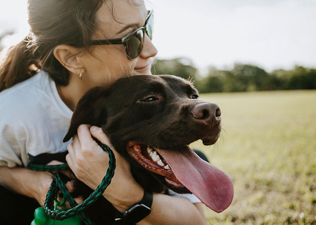 Breizh-Heson-Ki, éducateur canin en Finistère Nord