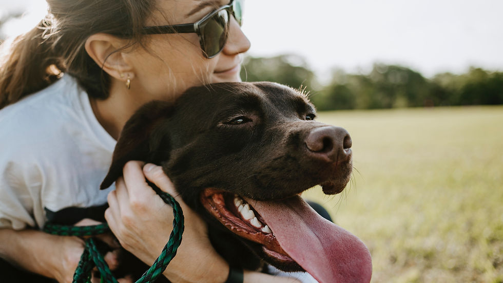 Woman wearing sunglasses hugs a happy brown dog with its tongue out in a sunny field, holding a green leash. Background shows trees.