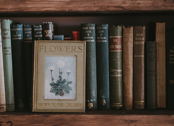 Image by Annie Spratt