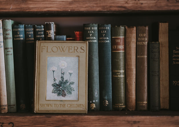 Image by Annie Spratt