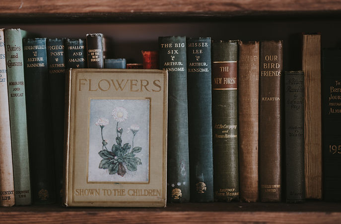 Image by Annie Spratt
