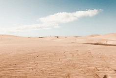 Image by Austin Langlois