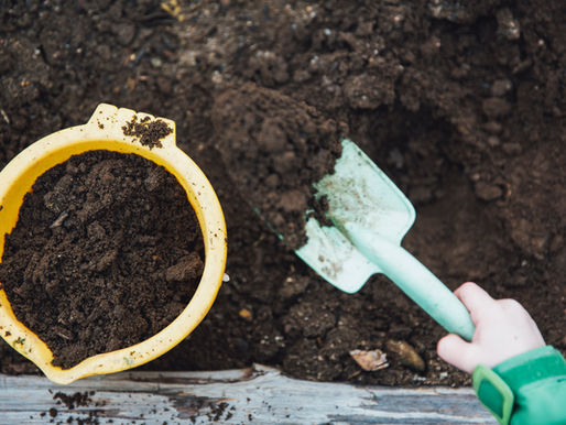 Upcoming Composting Workshop