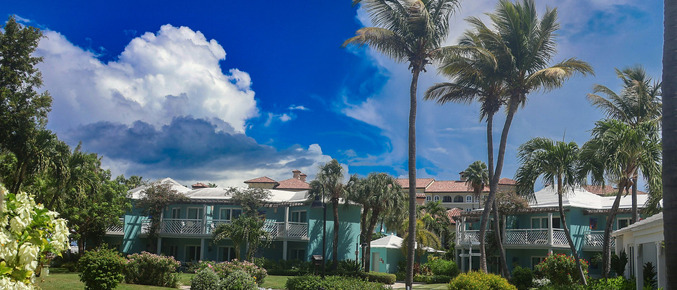 Image by Meg von Haartman