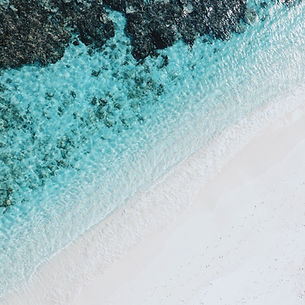 Image by Syd Sujuaan