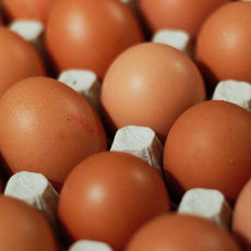 A dieta do ovo Cozido, funciona mesmo?