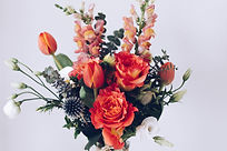 Image by Christie Kim