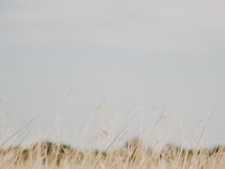 Peaceful natural landscape symbolizing connection, mindfulness, unity, and overcoming loneliness through awareness