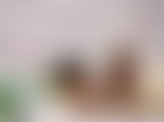 Bir Kokunun Geçmişi Hatırlatma Gücü Var mı? Test Edelim!