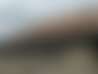 shingle, shingle roofing, shingles on roof, shingle option, roofing, roofer, roofing contractor, craig gouker roofing