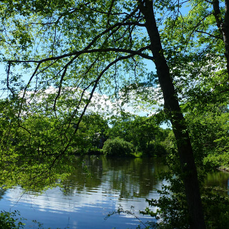 【英語で学ぶ大人の社会科】【Global Newsについて語ろう】【英語論文講座】【論文の教室】2021年6月の予定＆テーマ