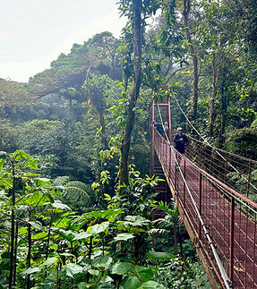 Image by eleni koureas