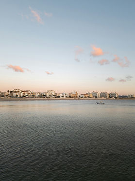 Image by Damian Ochrymowicz