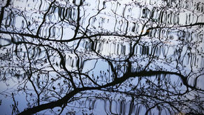 Systemic Complexity