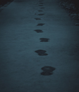 Image by Christian Lue