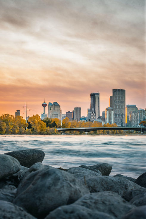 Image by Igor Kyryliuk & Tetiana Kravchenko