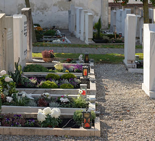 Image by Norbert Staudt