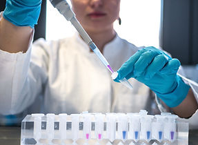 The Impact of Image Integrity on Scientific Research