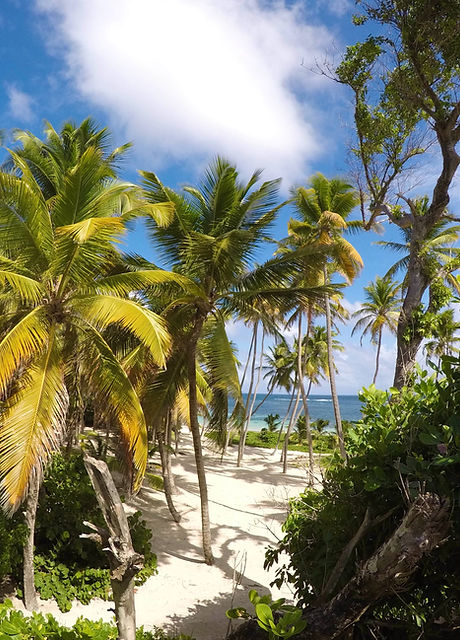 Image de Teddy Charti