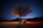 Image by SALEH