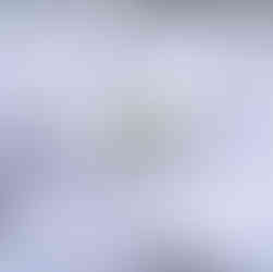 Schneeglöckchen in Schneedecke