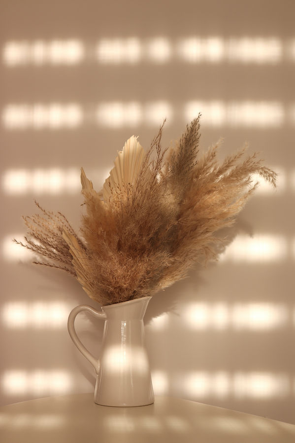 Image de Gabriela Fechet