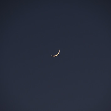 Image by Rafael Garcin