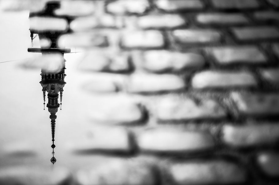 Image by davide ragusa