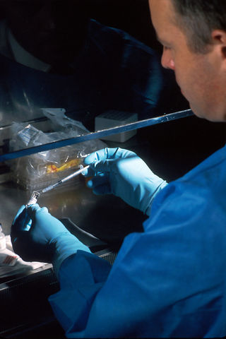 Planeamento e gestão das amostras