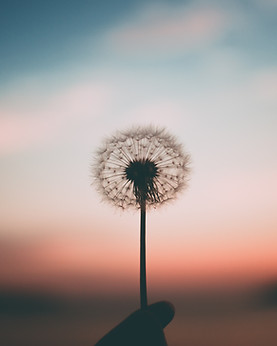 Image by Aleksandr Ledogorov