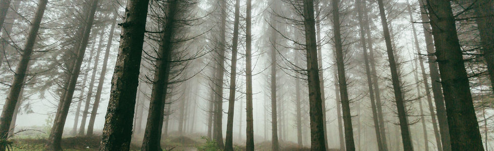 Nature and Landscape