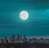 Image by Thula Na