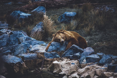 Image by Thomas Bonometti