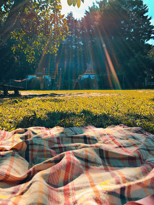 Brunch zum 1. Mai: Draußen genießen