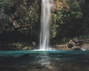 Image by Miguel Bruna