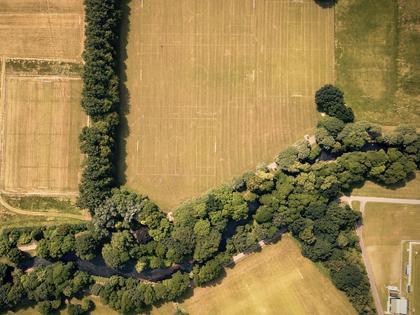 trees, river, and farmland