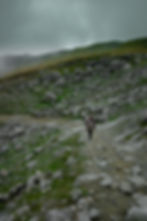 Supportive footwear for safe hill walking