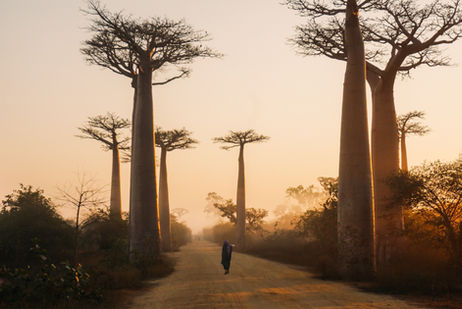 Carte SIM Madagascar : Comment avoir Internet dès l’arrivée (eSIM, carte locale, conseils pratiques)