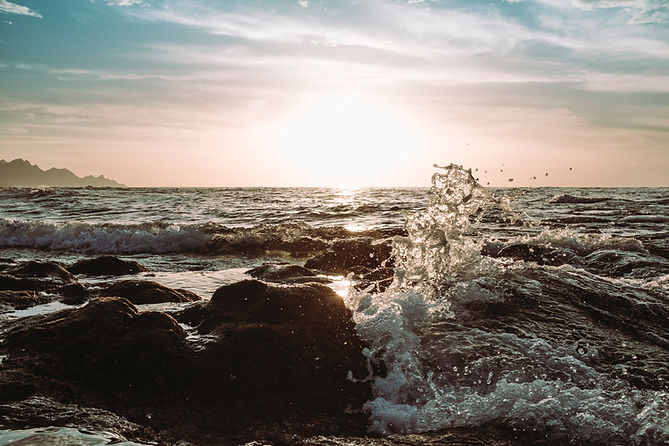 Image by Justin Schüler
