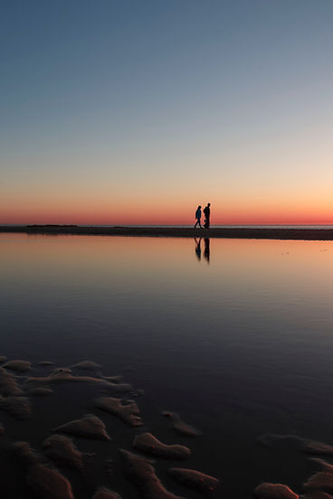 Image by Geoffroy Hauwen