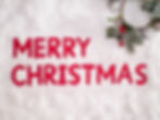 We Will Christmas Party